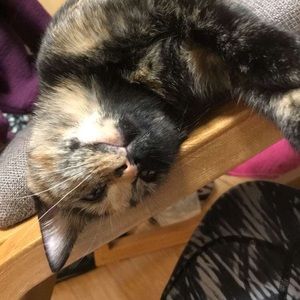 Meet your Posher, Grace